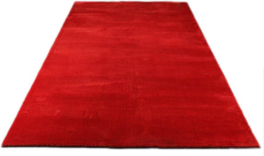 Karpet24 Vloerkleed voor woonkamer of slaapkamer in rood 200x280 cm Modern en zacht laagpolig tapijt Rechthoek Antislip onderkant Wasbaar tot 30 Graden Loft kleed by - Foto 4