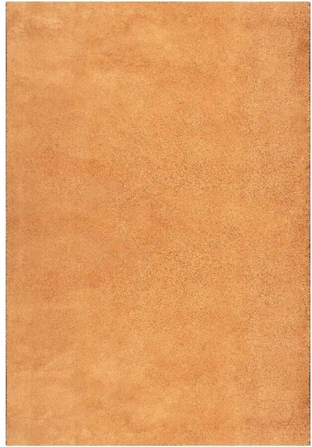 Karpet24 Vloerkleed voor woonkamer of slaapkamer in terra 160x220 cm Modern en zacht laagpolig tapijt Rechthoek Antislip onderkant Wasbaar tot 30 Graden Loft kleed by - Foto 2