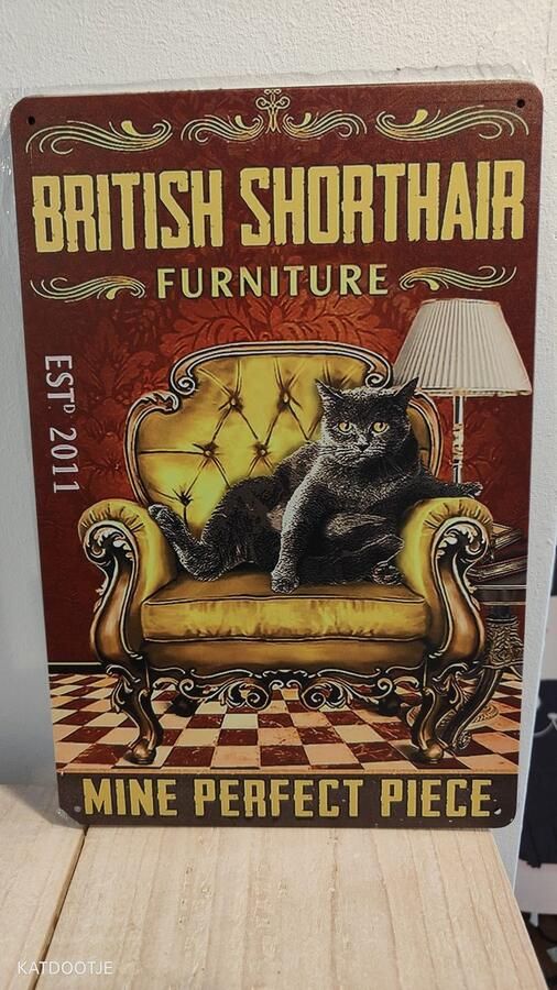 Katdootje Wandbord Britse korthaar op de bank