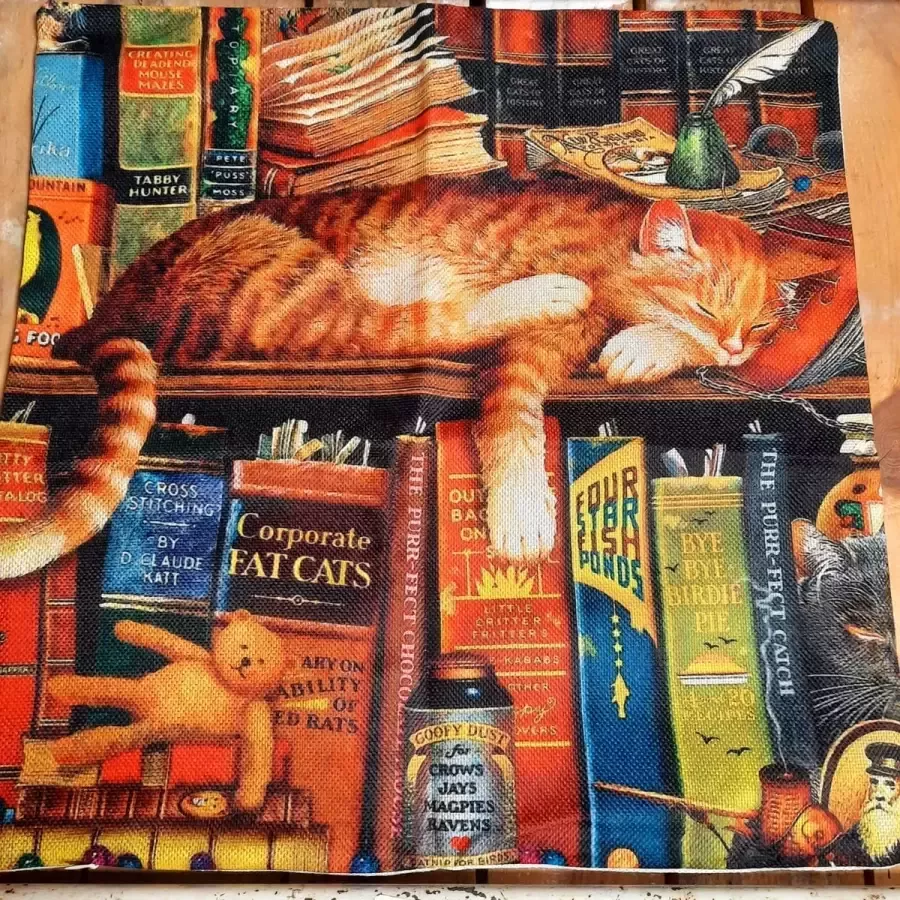 Rode kater in een boekenkast Kussenhoes
