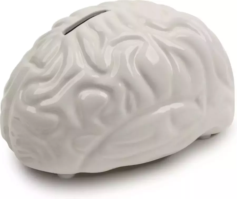 Kikkerland Brain Bank