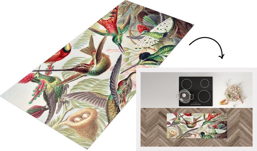 KitchenYeah Keukenloper Loper keuken Kolibrie Vintage Ernst Haeckel Vogels 120x50 cm Keukenloper vinyl