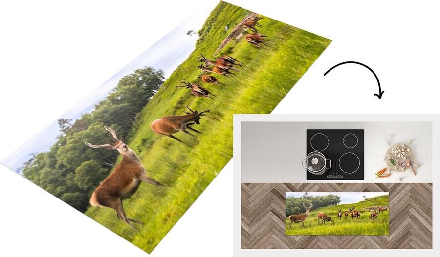 KitchenYeah Keukenloper Loper keuken Kudde herten op Jura 120x50 cm Keukenloper vinyl