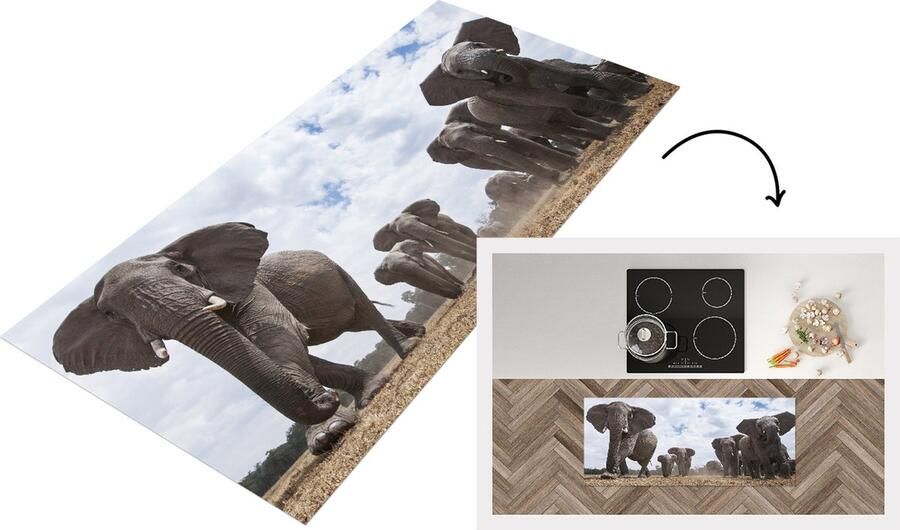 KitchenYeah Keukenloper Loper keuken Kudde olifanten 120x50 cm Keukenloper vinyl