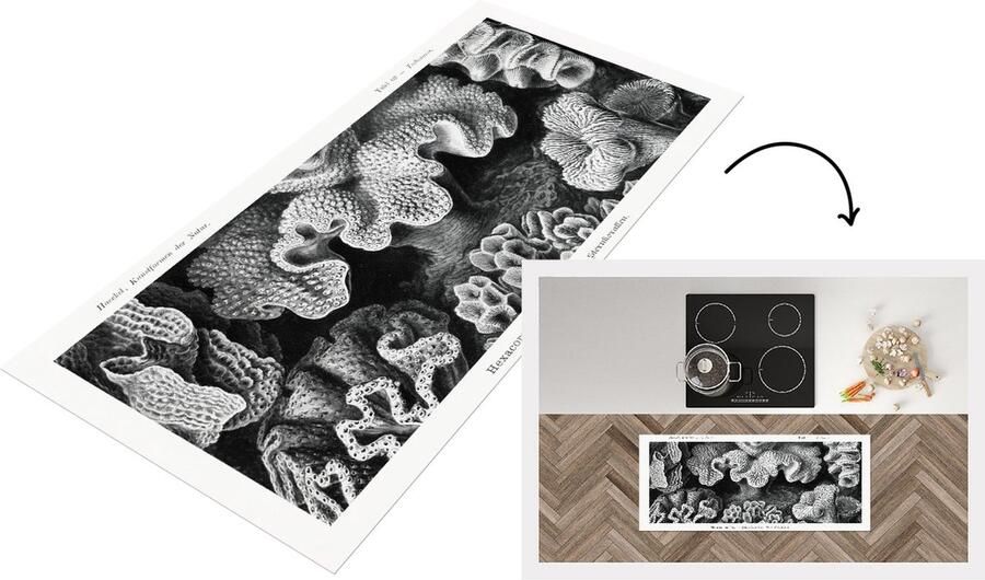 KitchenYeah Keukenloper Loper keuken Kunst Koraal Ernst Haeckel Oude meesters 120x50 cm Keukenloper vinyl