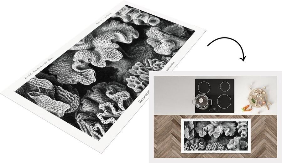 KitchenYeah Keukenloper Loper keuken Kunst Koraal Ernst Haeckel Oude meesters 120x60 cm Keukenloper vinyl