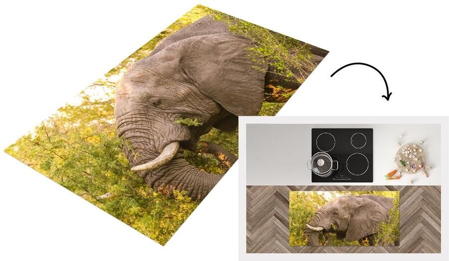 KitchenYeah Keukenloper Loper keuken Olifant Safari Afrikaans 120x60 cm Keukenloper vinyl