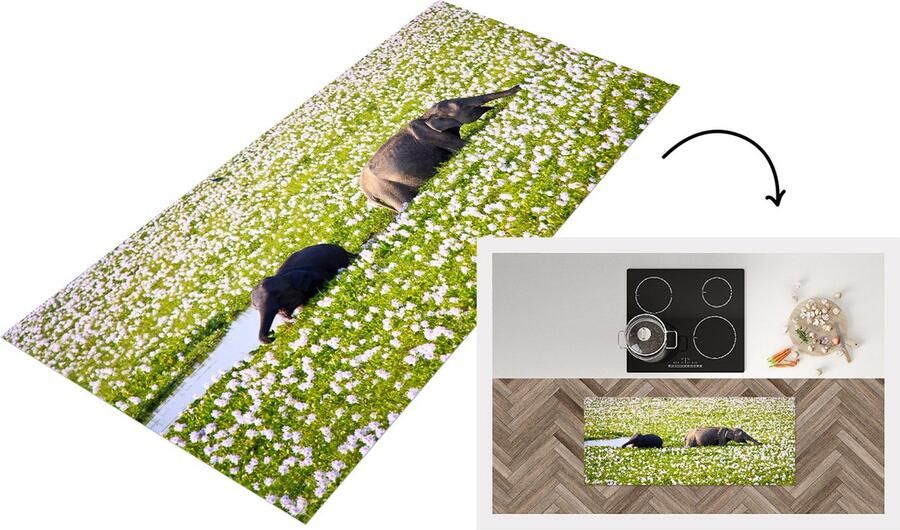 KitchenYeah Keukenloper Loper keuken Olifanten wandelend door het waterveld met planten 120x50 cm Keukenloper vinyl