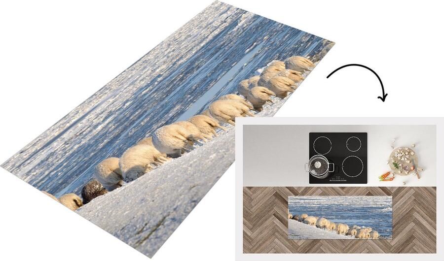 KitchenYeah Keukenloper Loper keuken Schaap Waddeneilanden Zee 120x50 cm Keukenloper vinyl