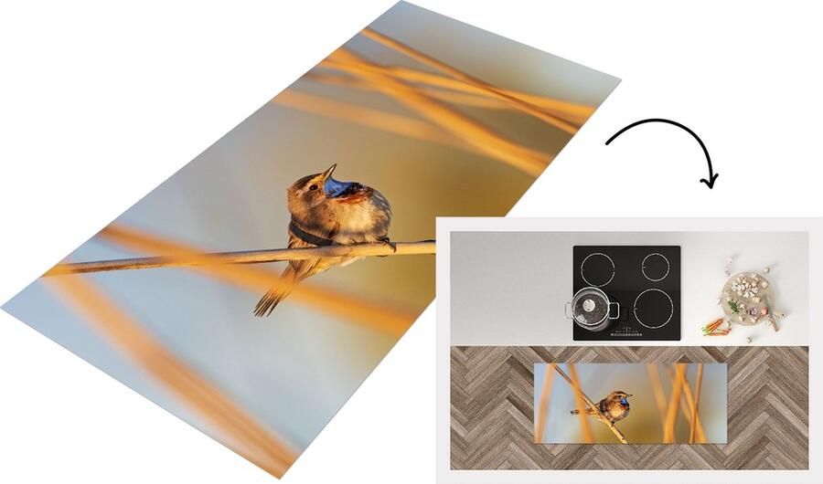 KitchenYeah Keukenloper Loper keuken Vogels Blauwborst Riet 120x50 cm Keukenloper vinyl