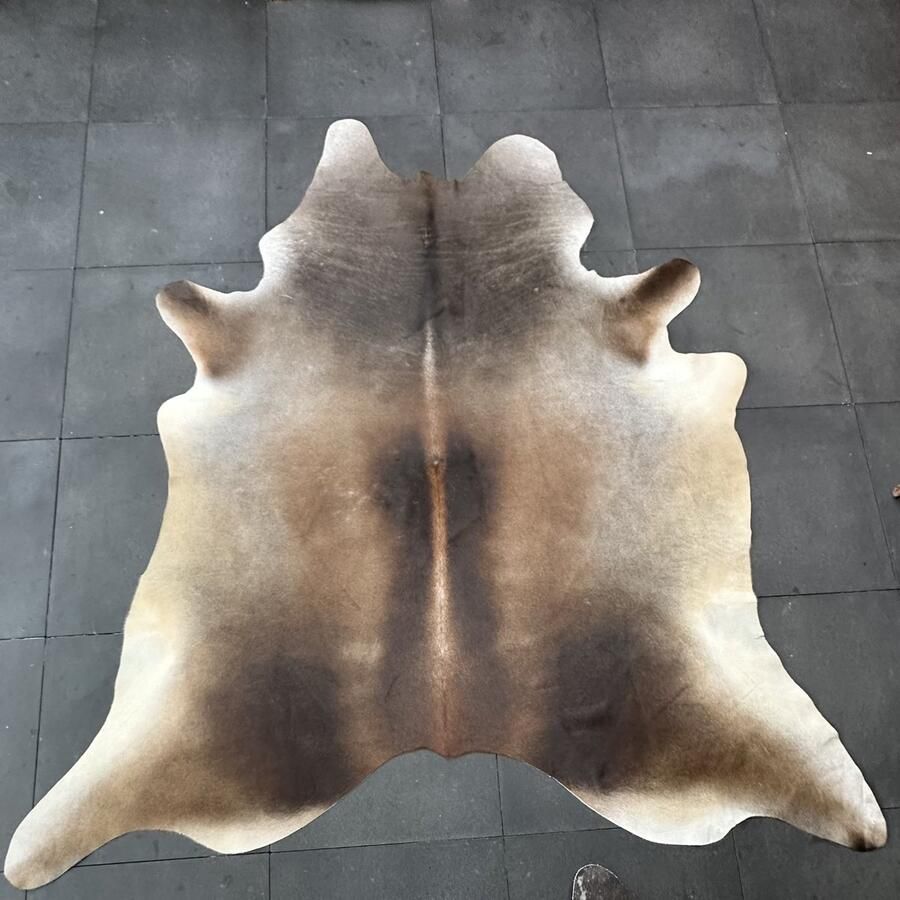 Koeienhuidkopen.nl GIGANTISCHE 250x210 cm! bruine brindle koeienhuid vloerkleed ENORM koeienkleed tapijt gestreept brindel bruin koeienvel groot XXXL dierenhuid dierenvel bruin koehuid tapijt - Foto 2