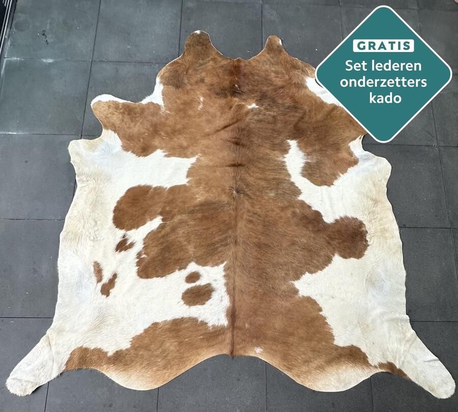 Koeienhuidkopen.nl GIGANTISCHE 250x250 cm bonte koeienhuid vloerkleed ENORM koeienkleed tapijt gevlekte koeienvel groot Meerkleurige XXXL dierenhuid dierenvel bruin koehuid tapijt
