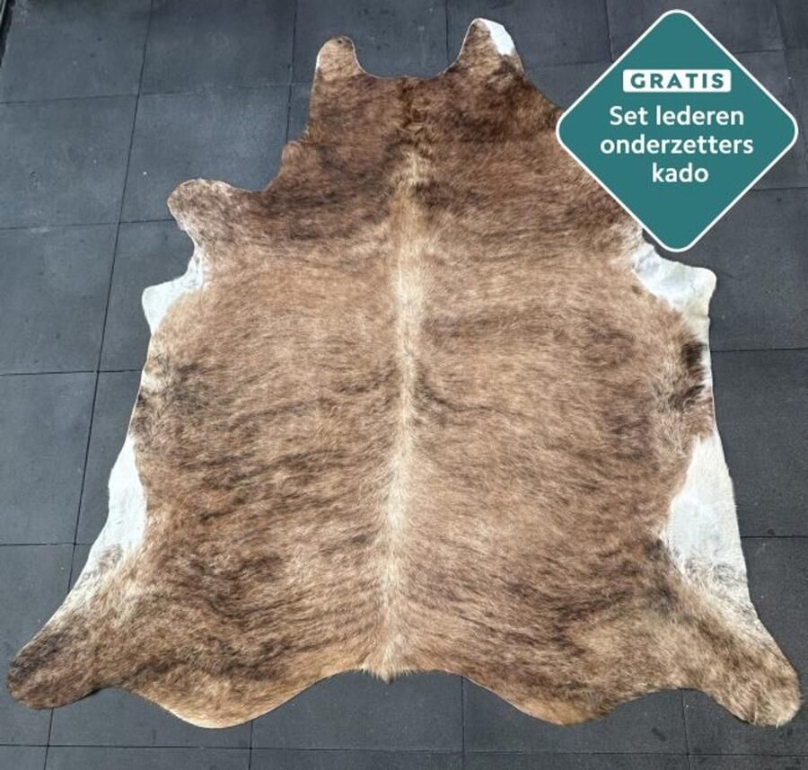 Koeienhuidkopen.nl GIGANTISCHE 250x210 cm! bruine brindle koeienhuid vloerkleed ENORM koeienkleed tapijt gestreept brindel bruin koeienvel groot XXXL dierenhuid dierenvel bruin koehuid tapijt - Foto 4