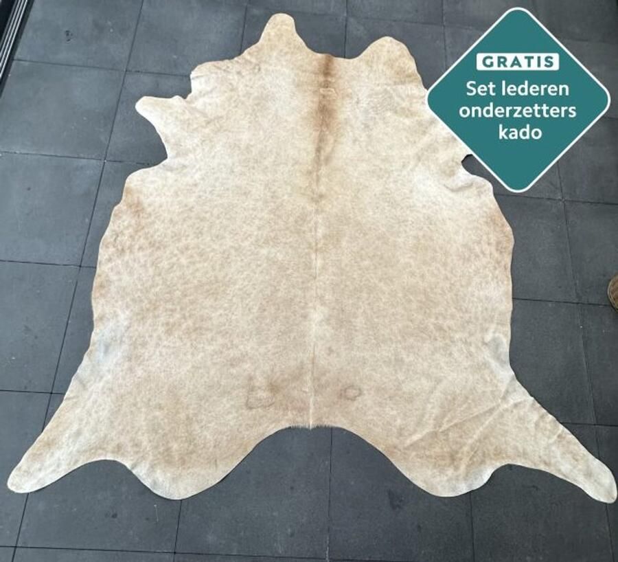 Koeienhuidkopen.nl GIGANTISCHE zandkleur koeienhuid vloerkleed 260x250 cm ENORM koeienkleed tapijt beige koeienvel groot Lichtbruin XXXL dierenhuid dierenvel bruin koehuid tapijt