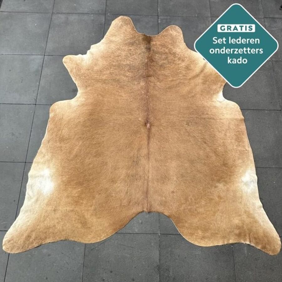 Koeienhuidkopen.nl GIGANTISCHE 250x230 cm warm bruin koeienhuid vloerkleed ENORM koeienkleed tapijt bruin koeienvel groot Cognac XXXL dierenhuid dierenvel bruin koehuid tapijt - Foto 2