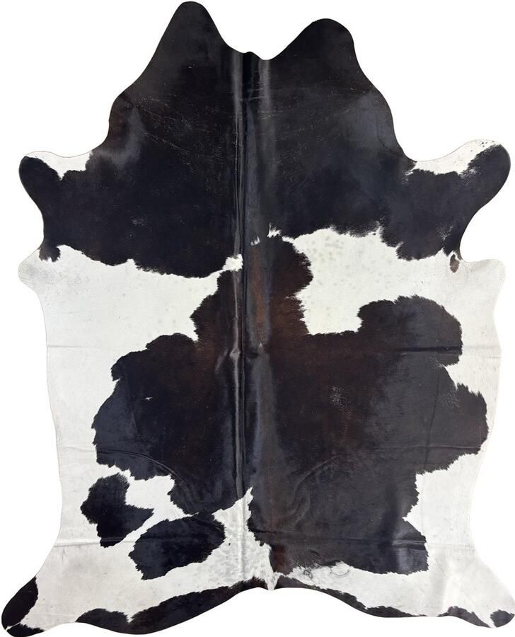 Koeienhuidvloerkleed.nl Koeienhuid Vloerkleed 234 cm x 189 cm Koeienkleed Koeienvel Dierenvel Dierenhuid Tapijt - Foto 2