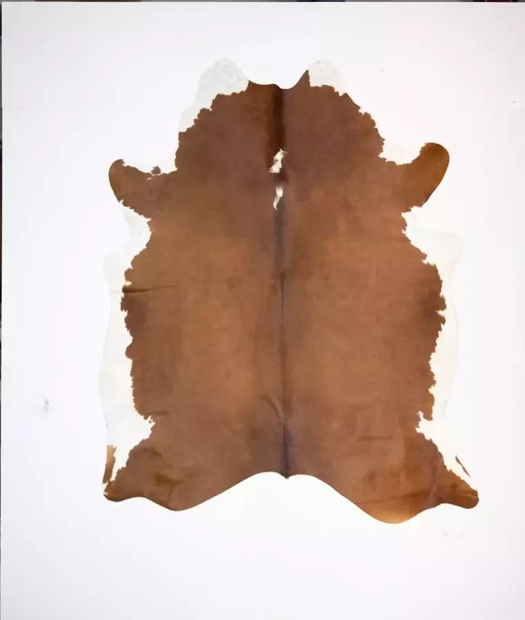 Koelap Koeienhuid Vloerkleed Bruin Egaal 180 x 220 cm 1005004