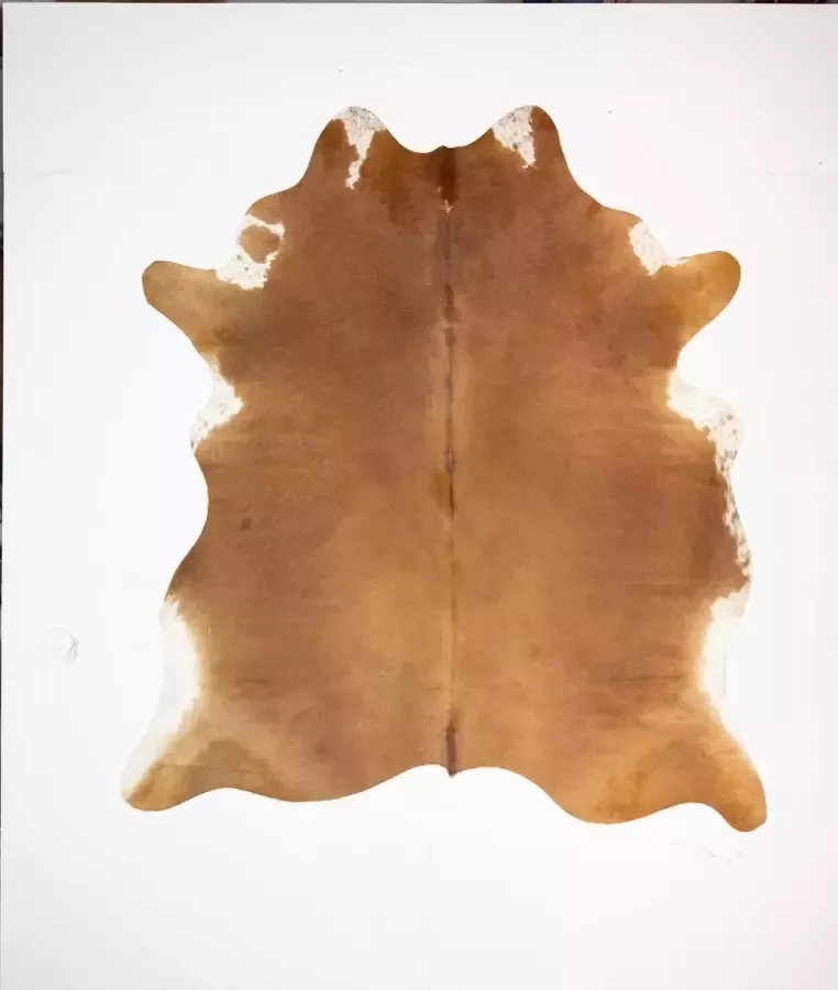 Koelap Koeienhuid Vloerkleed Bruin Egaal 195 x 215 cm 1004995