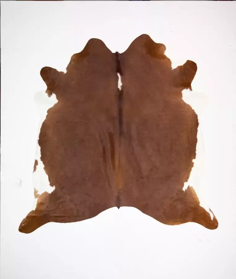 Koelap Koeienhuid Vloerkleed Bruin Egaal 215 x 210 cm 1004983