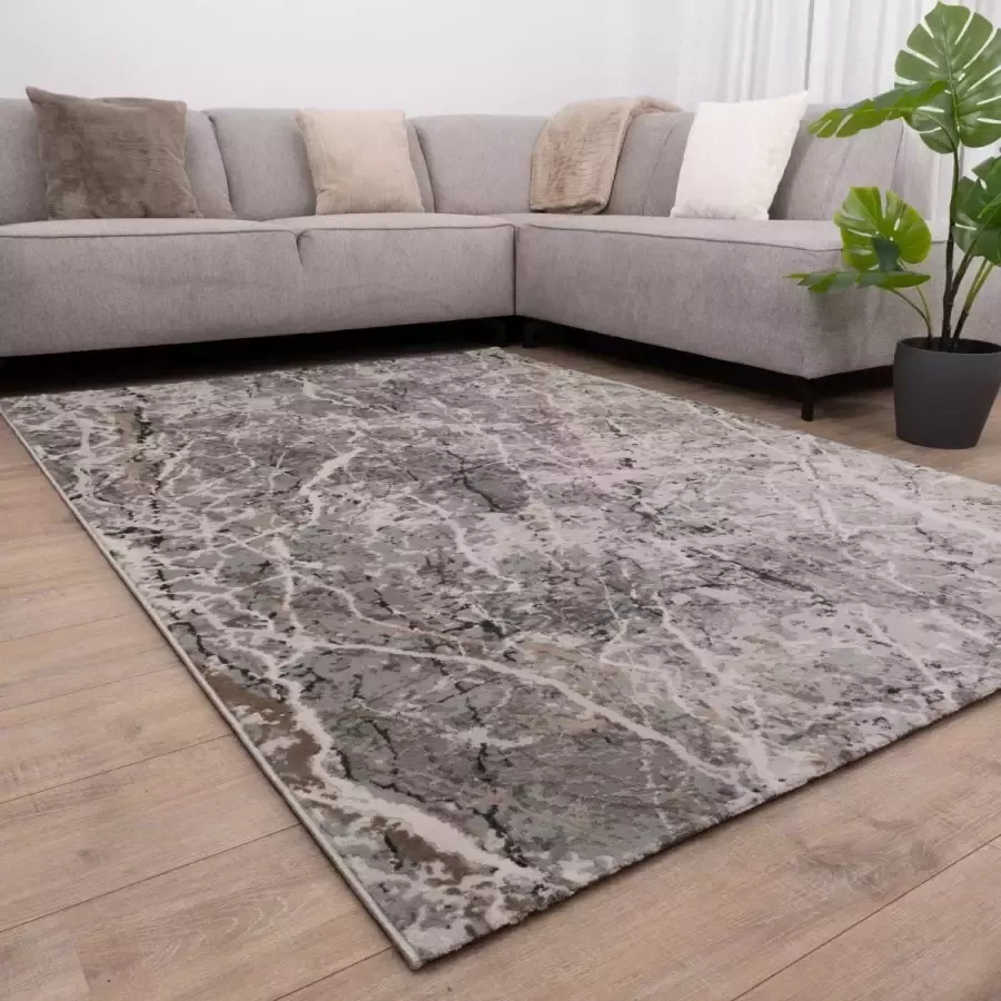 Koho Carpets Grijs met Beige Tapijt Laagpolig Vloerkleed Koho Impressive 200x290cm- Modern Woonkamer Salon Slaapkamer Eetkamer