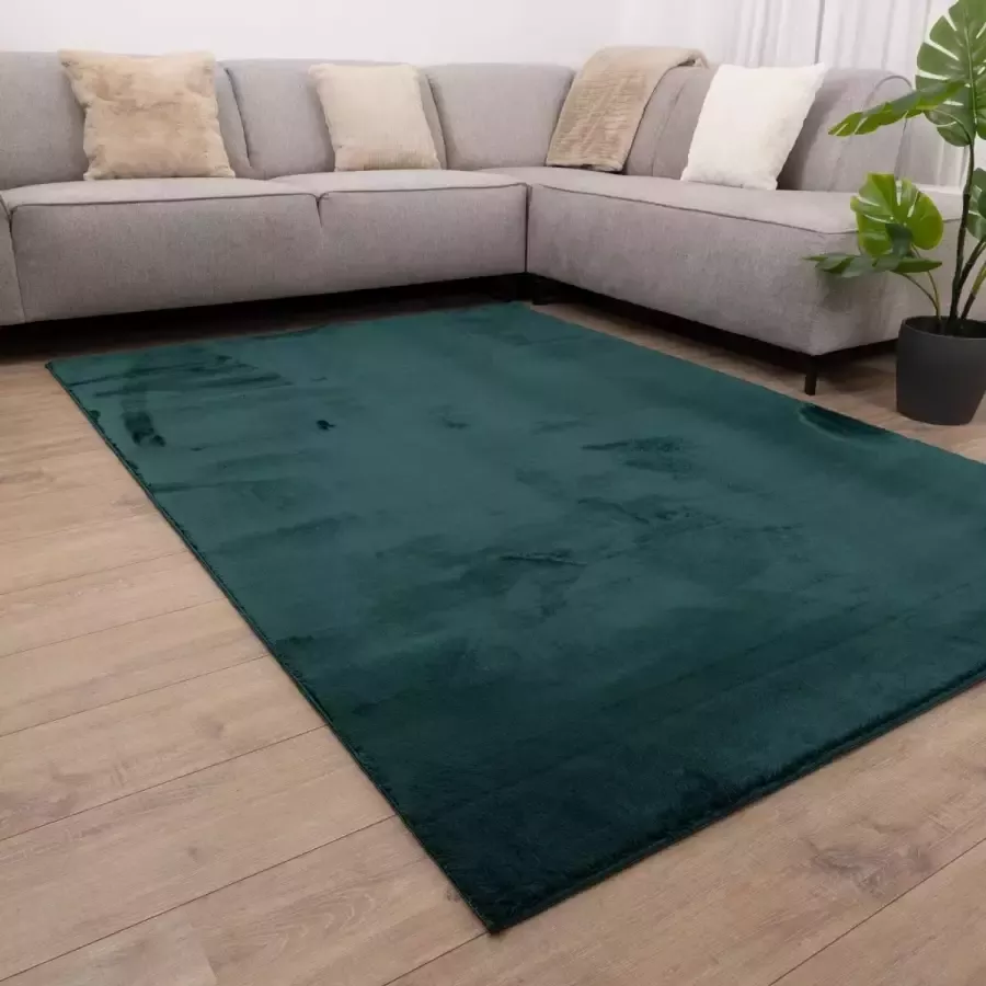 Koho Carpets Groen Tapijt Wasbaar Laagpolig Vloerkleed met Anti Slip Koho Soft Comfort Wasbaar op 30° 120x170cm- Modern Woonkamer Salon Slaapkamer Eetkamer