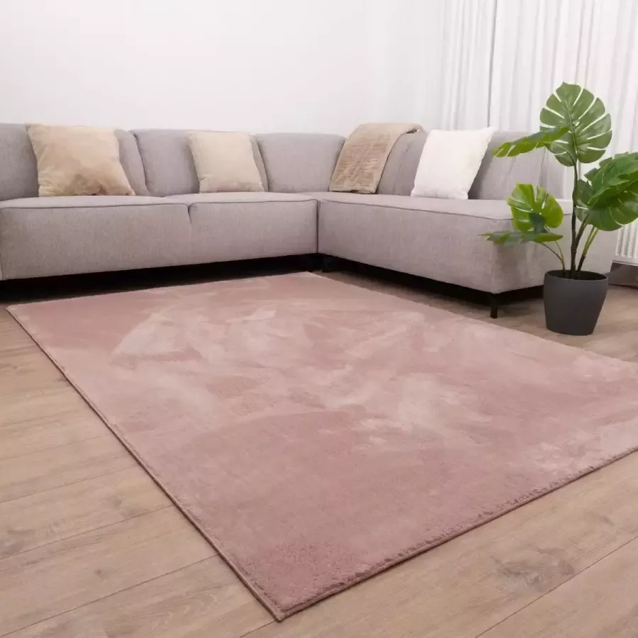 Koho Carpets Roze Tapijt Wasbaar Laagpolig Vloerkleed met Anti Slip Koho Soft Comfort Wasbaar op 30° 80x150cm- Modern Woonkamer Salon Slaapkamer Eetkamer