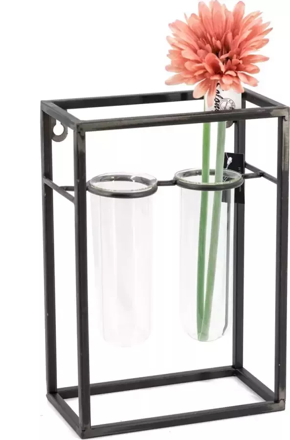 Kolony Wandrek met reageerbuisjes - Foto 2