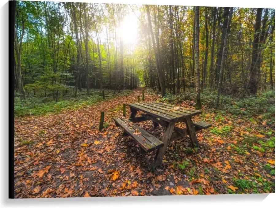 KuijsFotoprint Canvas Picknicktafel in het Bos 100x75cm Foto op Canvas Schilderij (Wanddecoratie op Canvas)