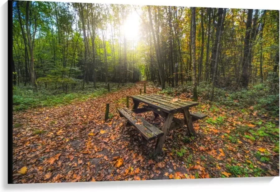 KuijsFotoprint Canvas Picknicktafel in het Bos 120x80cm Foto op Canvas Schilderij (Wanddecoratie op Canvas)