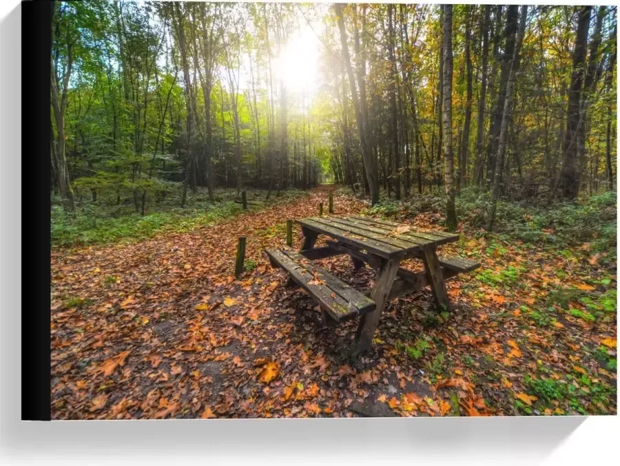 KuijsFotoprint Canvas Picknicktafel in het Bos 40x30cm Foto op Canvas Schilderij (Wanddecoratie op Canvas)