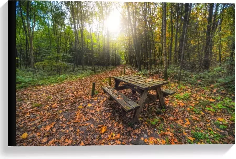 KuijsFotoprint Canvas Picknicktafel in het Bos 60x40cm Foto op Canvas Schilderij (Wanddecoratie op Canvas)