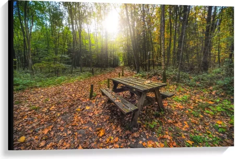 KuijsFotoprint Canvas Picknicktafel in het Bos 90x60cm Foto op Canvas Schilderij (Wanddecoratie op Canvas)