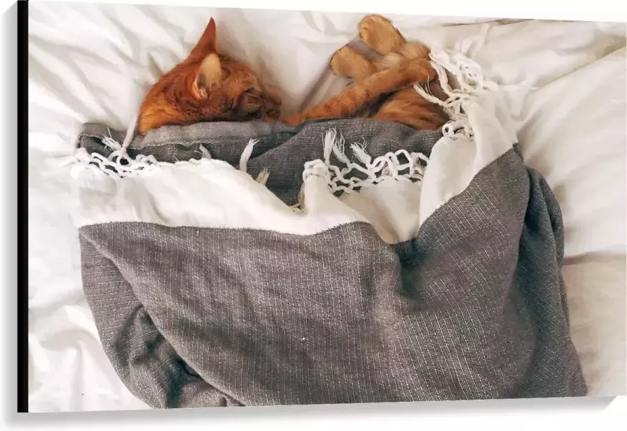 KuijsFotoprint Canvas Slapende Kat onder Deken op Bed 120x80cm Foto op Canvas Schilderij (Wanddecoratie op Canvas)