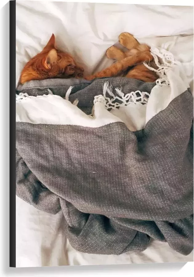 KuijsFotoprint Canvas Slapende Kat onder Deken op Bed 60x90cm Foto op Canvas Schilderij (Wanddecoratie op Canvas)