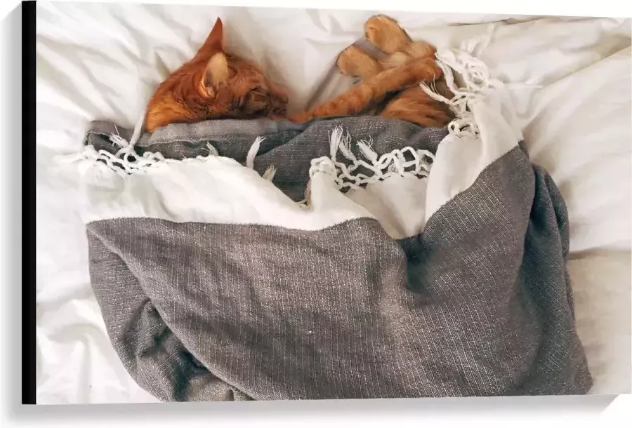 KuijsFotoprint Canvas Slapende Kat onder Deken op Bed 90x60cm Foto op Canvas Schilderij (Wanddecoratie op Canvas)