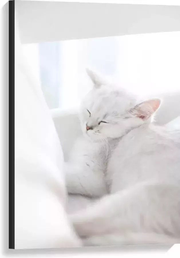 KuijsFotoprint Canvas Witte Kat aan het Slapen in Stoel 60x90cm Foto op Canvas Schilderij (Wanddecoratie op Canvas)