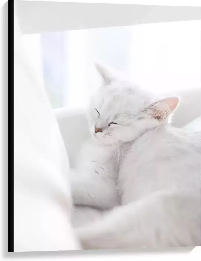 KuijsFotoprint Canvas Witte Kat aan het Slapen in Stoel 75x100cm Foto op Canvas Schilderij (Wanddecoratie op Canvas)