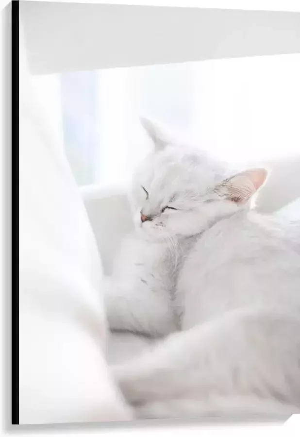KuijsFotoprint Canvas Witte Kat aan het Slapen in Stoel 80x120cm Foto op Canvas Schilderij (Wanddecoratie op Canvas)