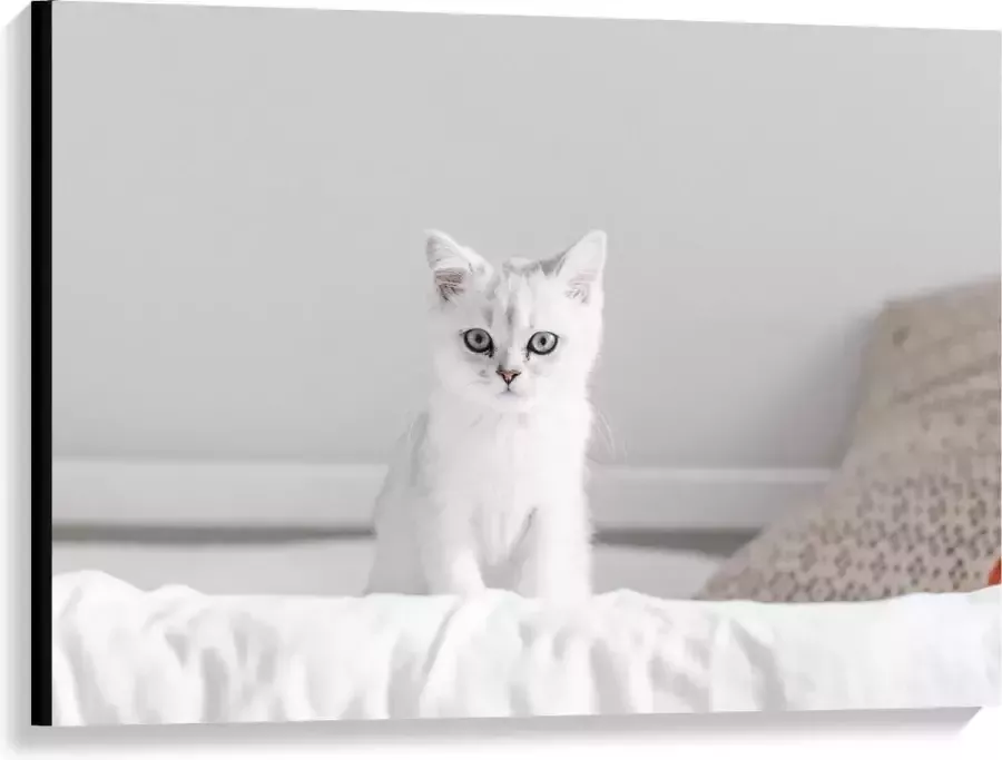 KuijsFotoprint Canvas Witte Kat op Bed 100x75cm Foto op Canvas Schilderij (Wanddecoratie op Canvas)