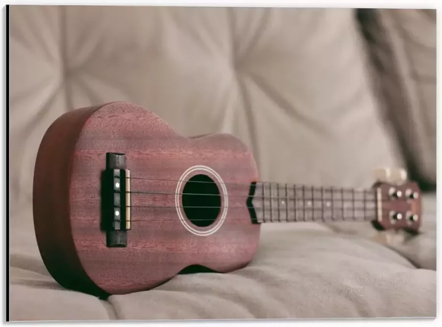 KuijsFotoprint Dibond Ukelele op Bank 40x30cm Foto op Aluminium (Met Ophangsysteem)