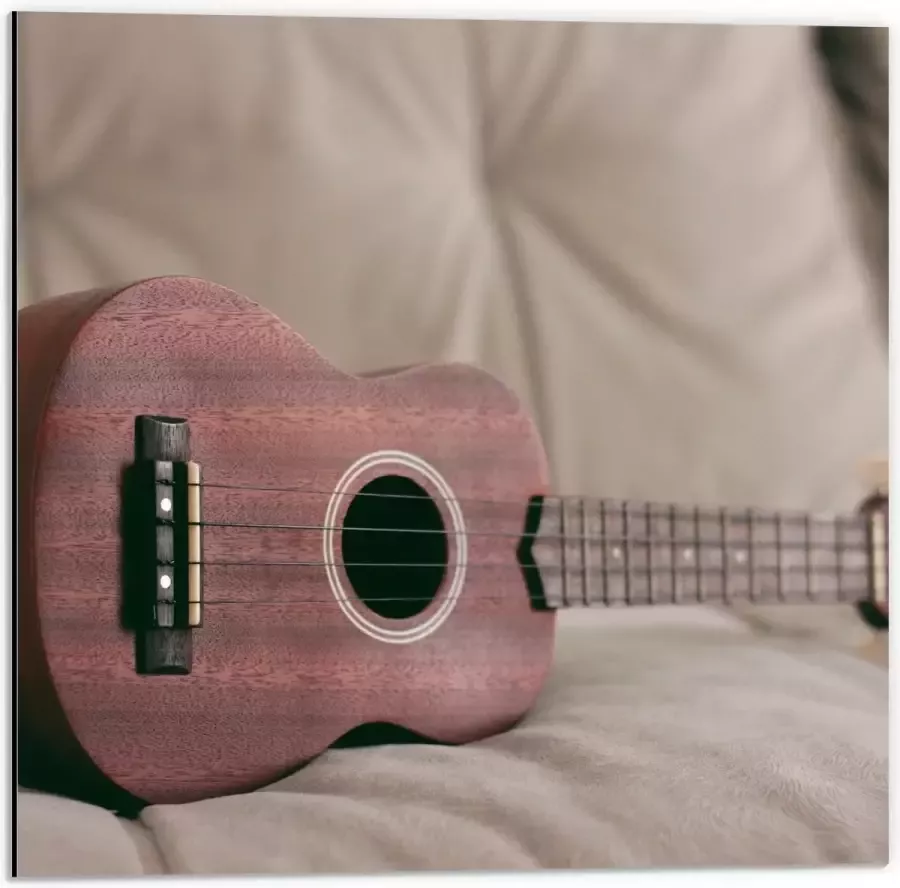KuijsFotoprint Dibond Ukelele op Bank 50x50cm Foto op Aluminium (Met Ophangsysteem)