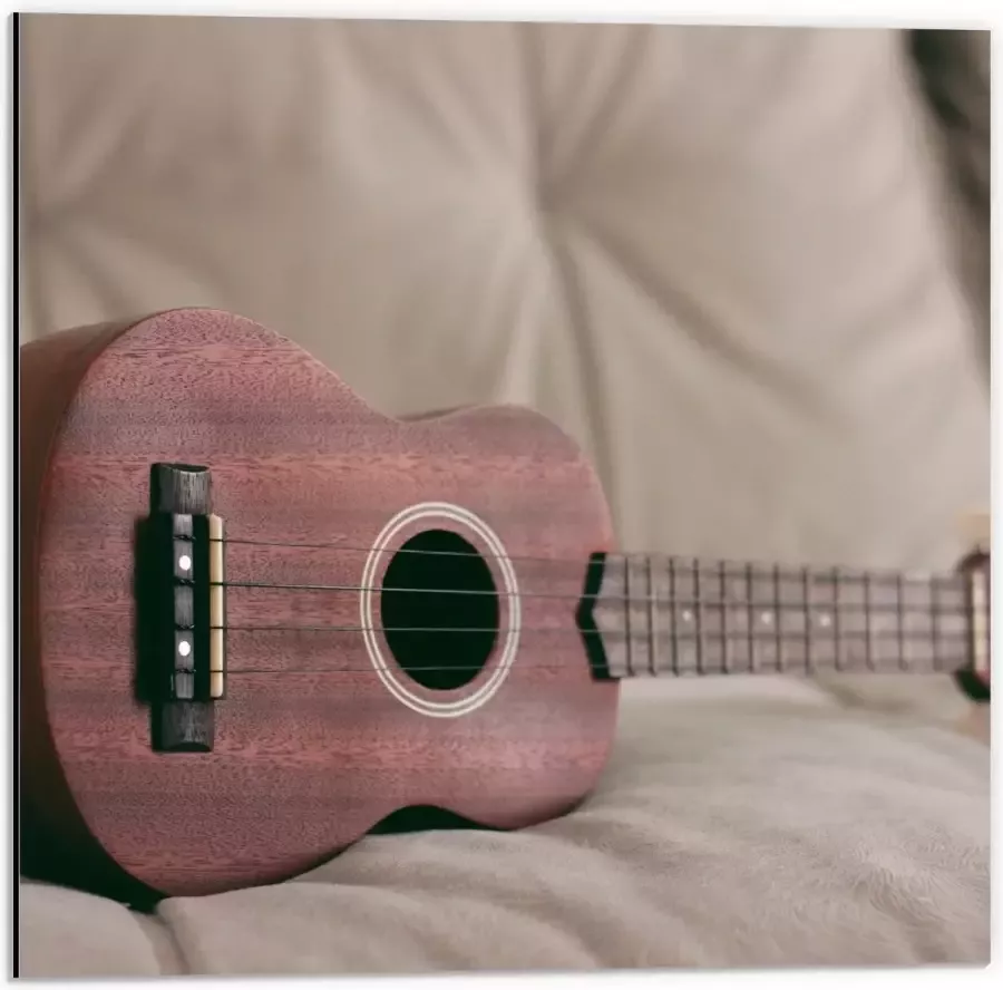 KuijsFotoprint Dibond Ukelele op Bank 50x50cm Foto op Aluminium (Wanddecoratie van metaal)