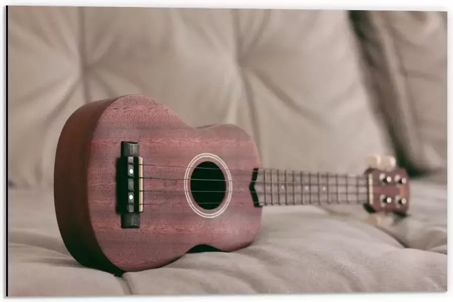 KuijsFotoprint Dibond Ukelele op Bank 60x40cm Foto op Aluminium (Met Ophangsysteem)