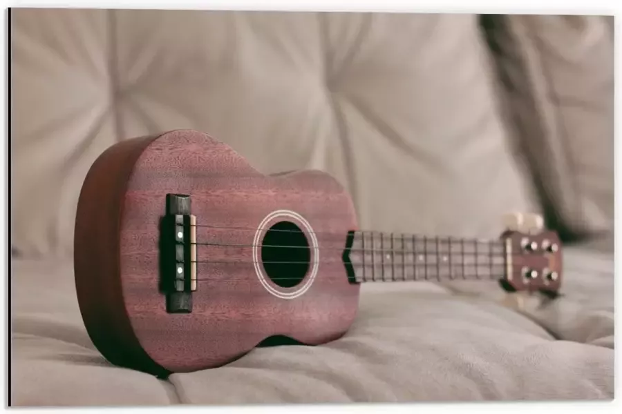 KuijsFotoprint Dibond Ukelele op Bank 60x40cm Foto op Aluminium (Wanddecoratie van metaal)