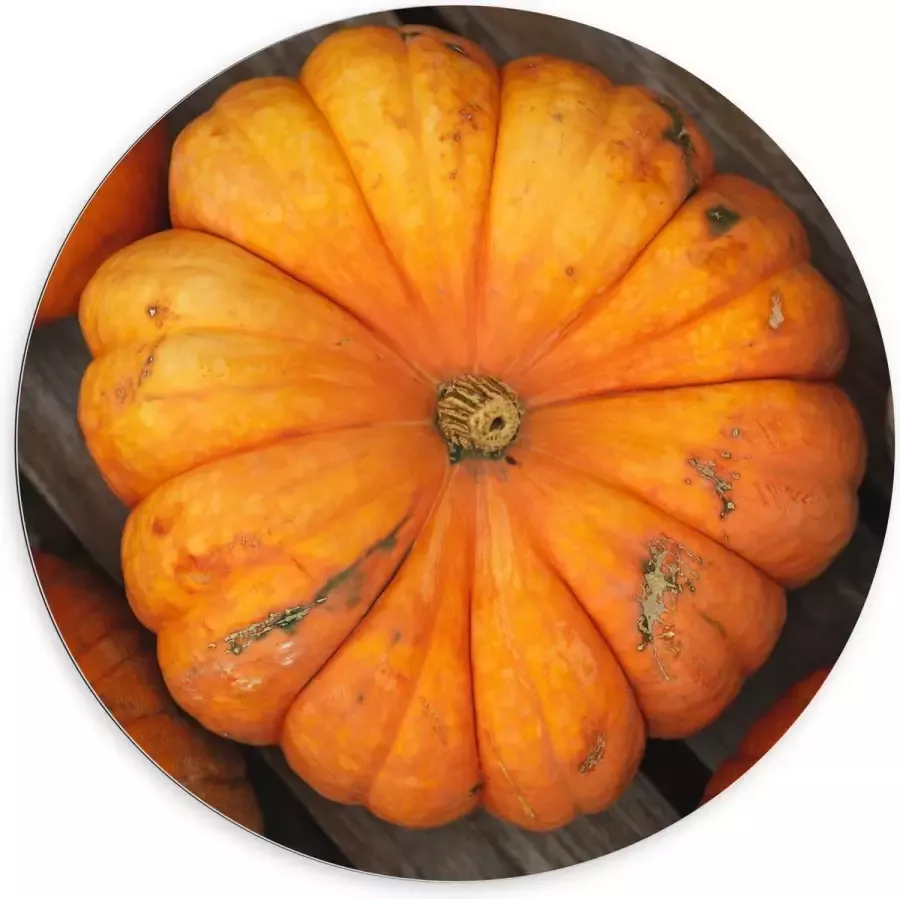 KuijsFotoprint Dibond Wandcirkel Oranje Pompoenen op Tafel 100x100cm Foto op Aluminium Wandcirkel (met ophangsysteem)