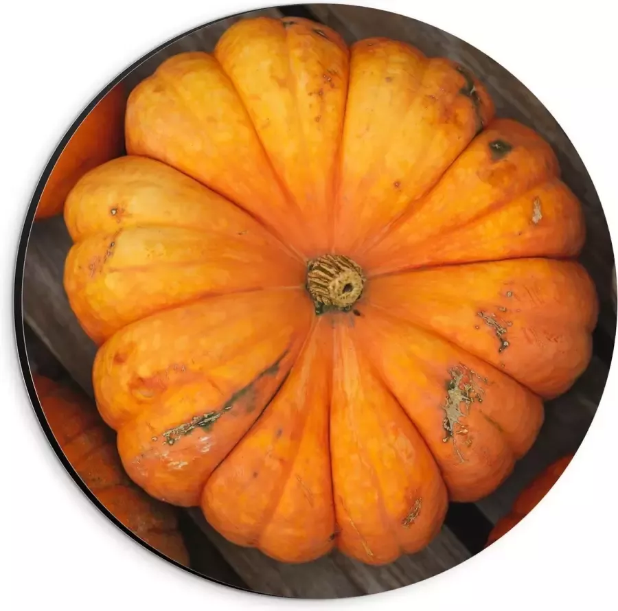 KuijsFotoprint Dibond Wandcirkel Oranje Pompoenen op Tafel 20x20cm Foto op Aluminium Wandcirkel (met ophangsysteem)