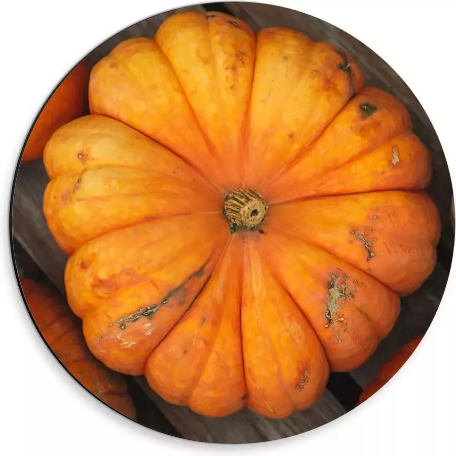 KuijsFotoprint Dibond Wandcirkel Oranje Pompoenen op Tafel 30x30cm Foto op Aluminium Wandcirkel (met ophangsysteem)