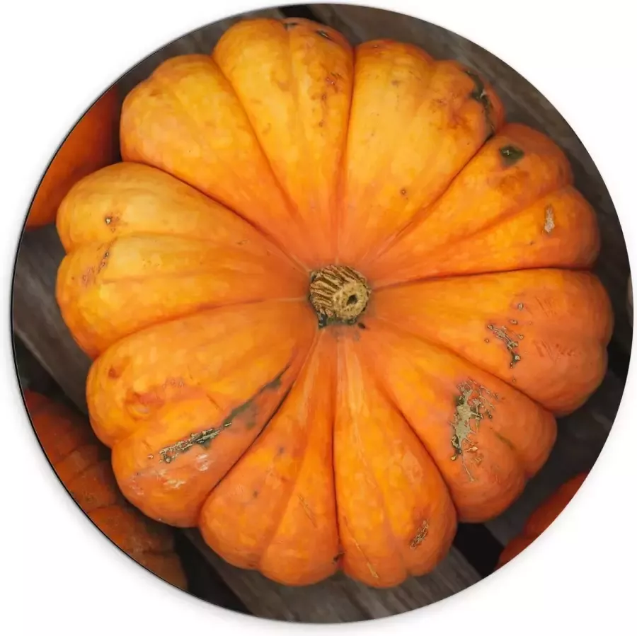 KuijsFotoprint Dibond Wandcirkel Oranje Pompoenen op Tafel 70x70cm Foto op Aluminium Wandcirkel (met ophangsysteem)