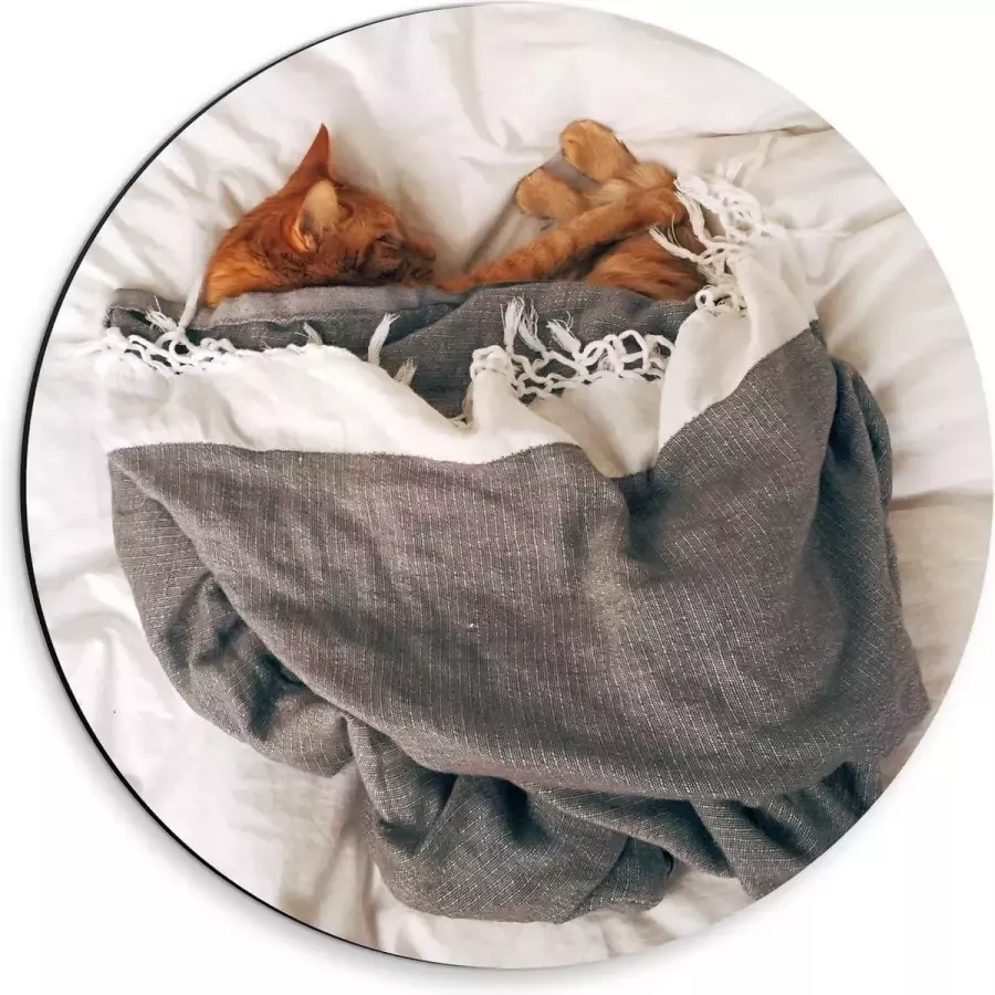 KuijsFotoprint Dibond Wandcirkel Slapende Kat onder Deken op Bed 30x30cm Foto op Aluminium Wandcirkel (met ophangsysteem)