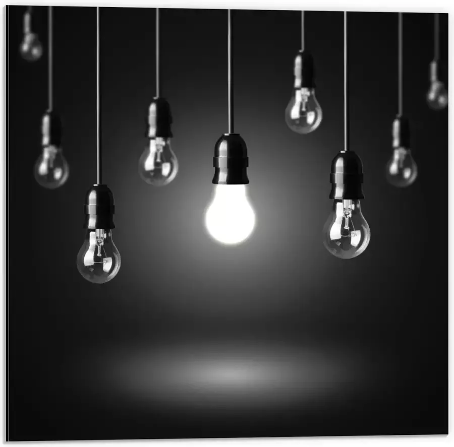 KuijsFotoprint Dibond Zwevende Lampen 50x50cm Foto op Aluminium (Wanddecoratie van metaal)